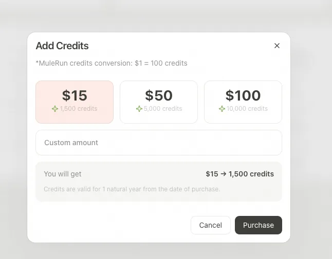 Add Credits — select amount and confirm payment
